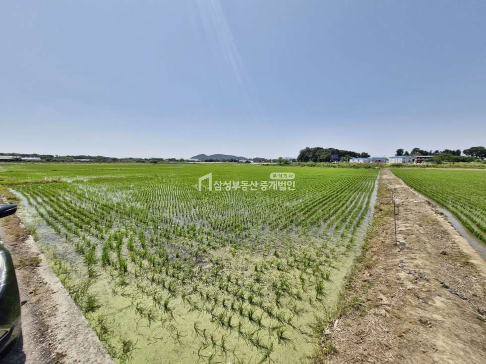 경기 파주시 산남동 #758평 #평당 65만원 #답 #농업진흥구역 매매 매물번호 10899 사진 1
