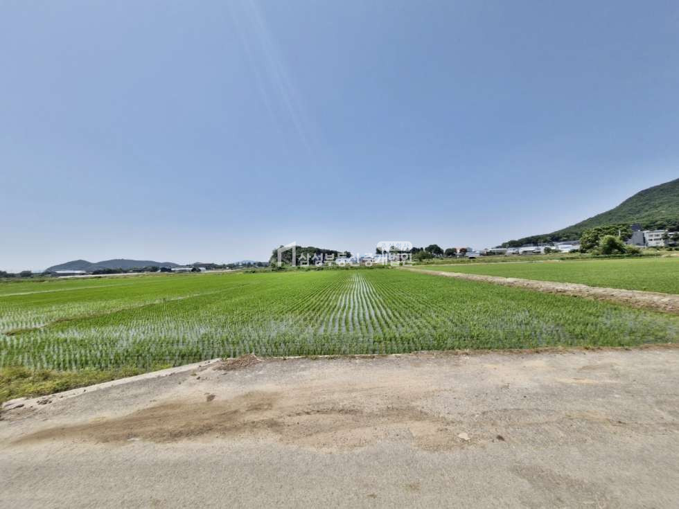 경기 파주시 산남동 #758평 #평당 65만원 #답 #농업진흥구역 매매 매물번호 10899 사진 2