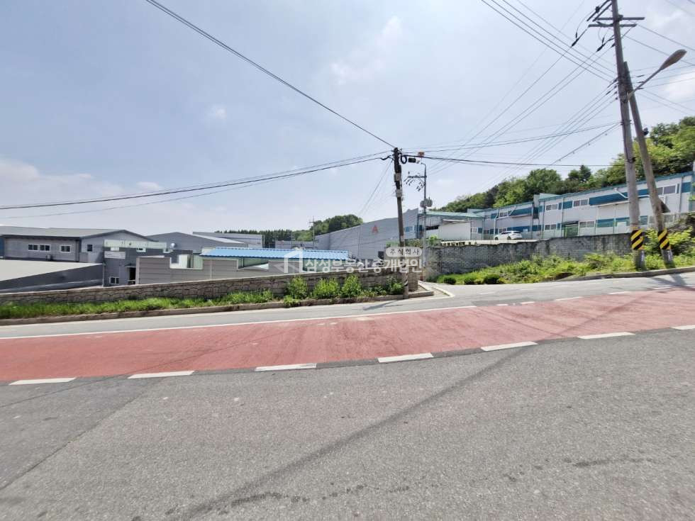 전망